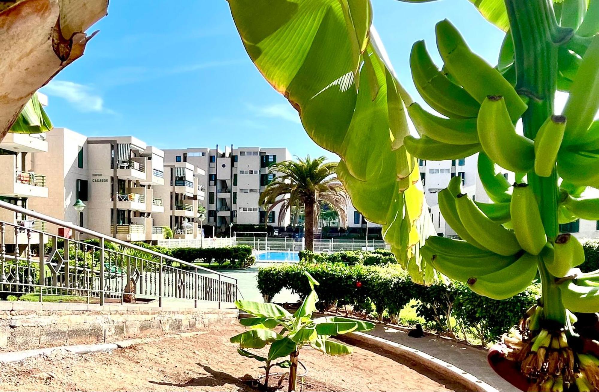 Las Vinas Apartment Playa de las Americas  Exterior foto
